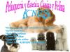 Peluquera Canina Salta
