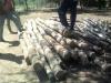 Foto de Agro Forestal Anta